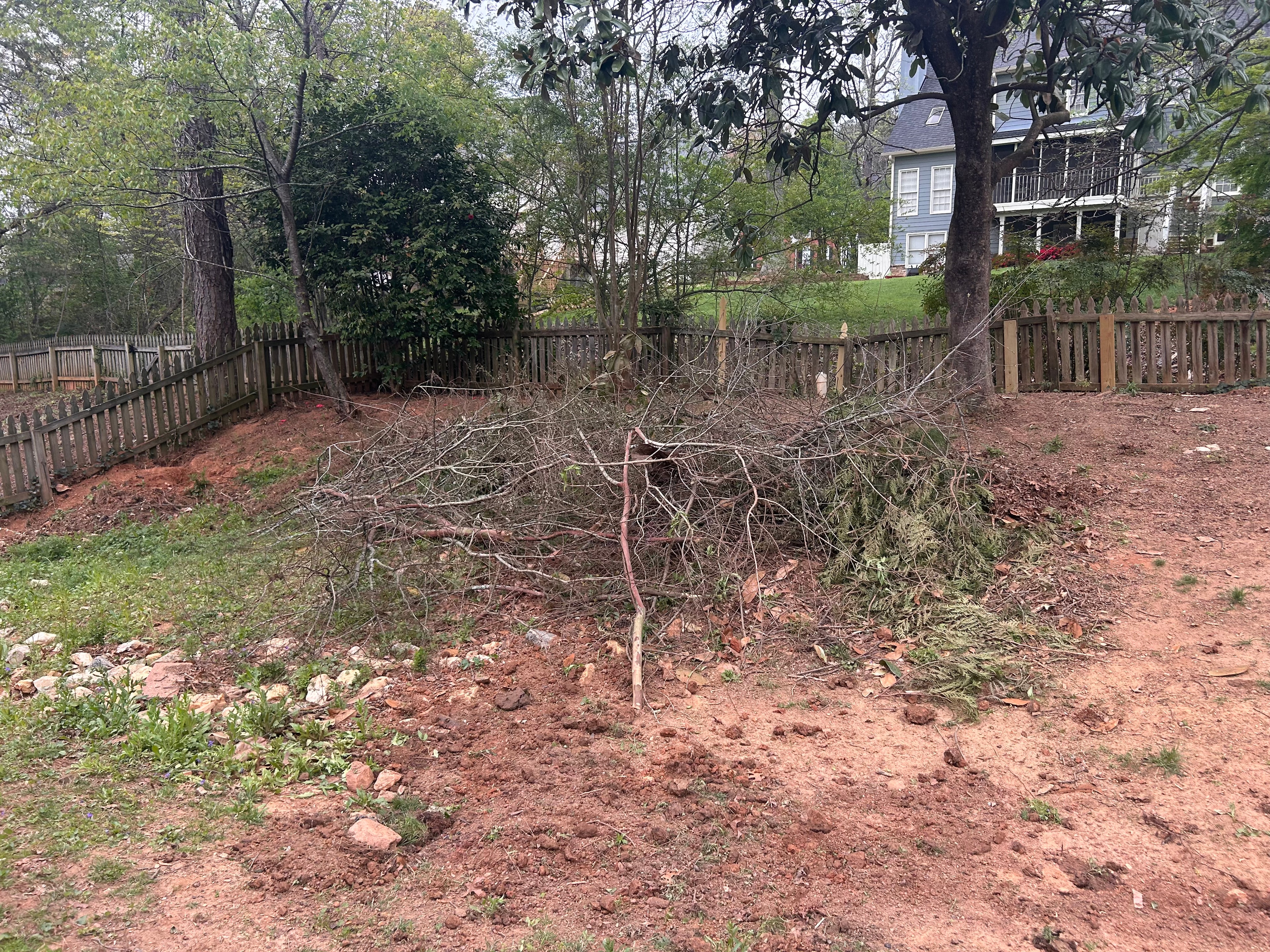 Yard Waste Removal